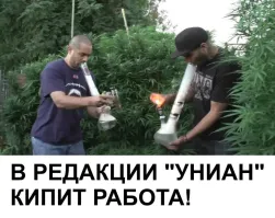 Лишь о политике , лишь о ней , зараза