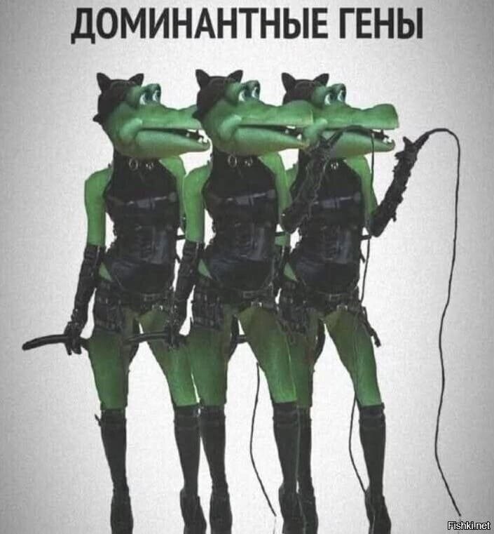 Большая тарелка улыбатора