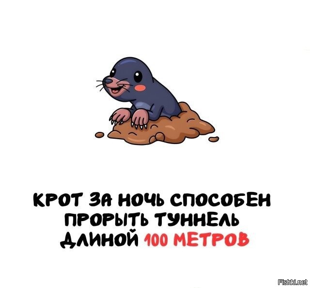 Собянину не ПОКАЗЫВАЙТЕ