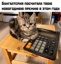 Смешные картинки