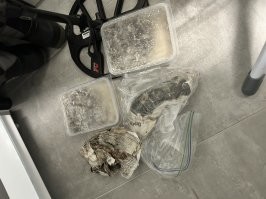 В море сейчас выходить не хочу , топливо в цене гуляет а на пирсе много друзей . В прошлую пятницу сидел поникший а жена мне говорит ну не хочешь в море выходить ( хотя был полный штиль ) так езжай с пирса покидай хоть своих друзей увидишь а не морских котиков и дельфинов . В эту субботу тоже хотел но увы нужно ехать подарки всем покупать да с сыном заниматься . Может быть в воскресение поеду червей я много заготовил . Я из свежих морских делаю французских тапов , это когда в морской соли их обволакиваешь и в холодильник . Когда нужно идти на рыбалку ты берешь такую упаковку и чуть чуть морской воды по месту добавляешь и все черви как нормальные становятся а рыба от них дуреет .