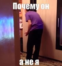 Кот и идеальное место для сна