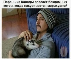 у меня для вас так себе новости, это не кот ))))))))