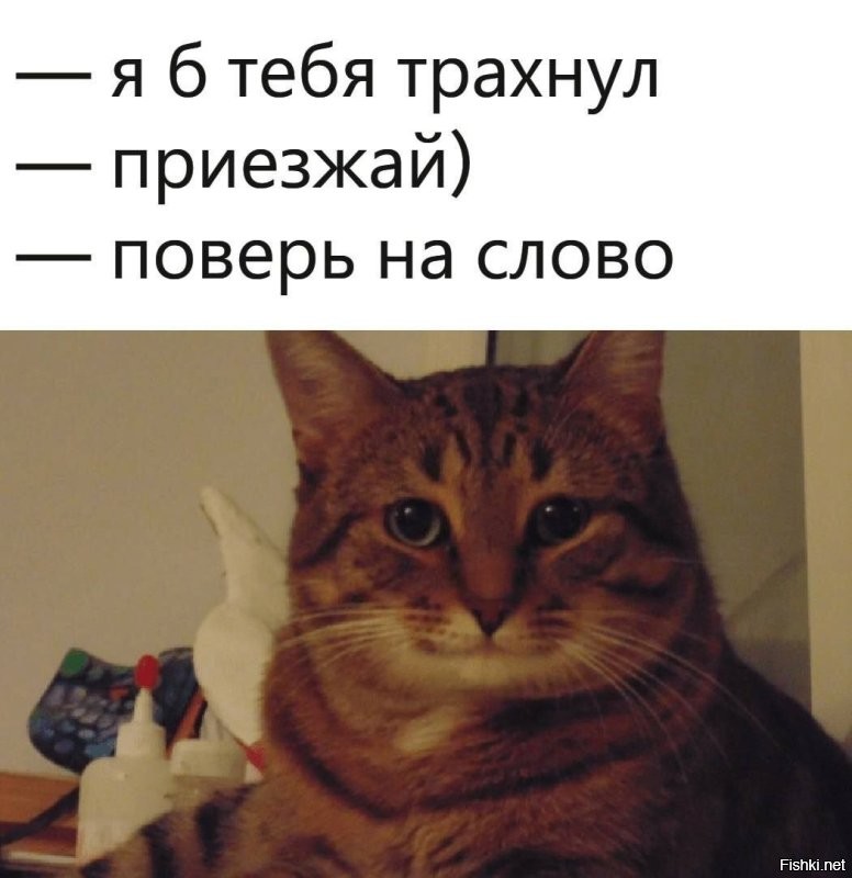Солянка от 18.12.2025
