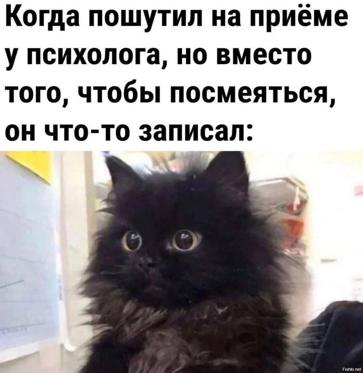 Скрины из соцсетей