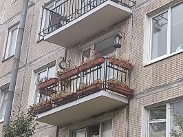 Намешалось