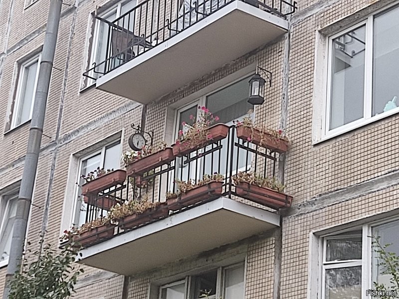 Намешалось