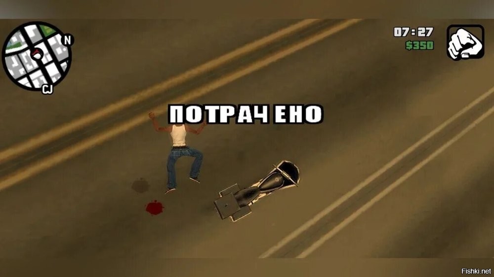 Собака достойно встретила незваного гостя
