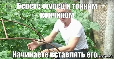 Лечится он. Сила земли и всё такое... Правда доктор говорил про грядки