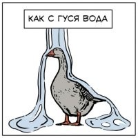 Собака достойно встретила незваного гостя