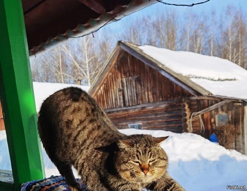 Оксана ! ...