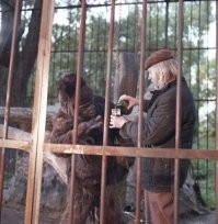 В тему:
Фраза "люди это спившиеся обезьяны" не относится напрямую к фильму "Шкура", но отражает его сатирическую суть, где уборщик в зоопарке переодевается обезьяной, пародируя людские нравы, что вызывает мысли о близости человека и животного, а фильм высмеивает глупость дирекции и посетителей, показывая человеческую "примитивность".