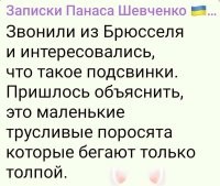 Есть звание полковник. Подполковник ниже рангом. Так и здесь, подсвинки, это те, кто опустился ниже свиней.