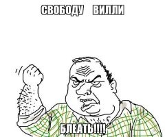 Косатка: убийцы синих китов и белых акул