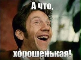 Кот и идеальное место для сна
