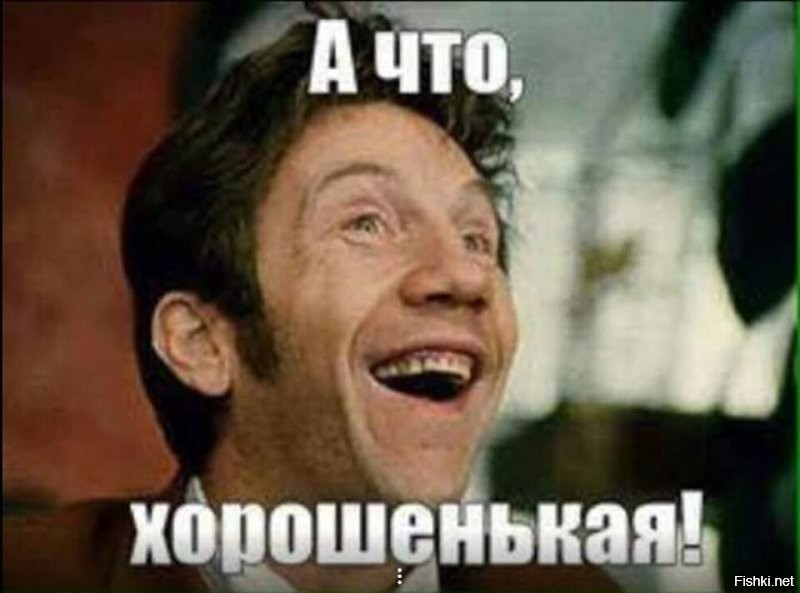 Кот и идеальное место для сна