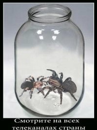 Трупная вонь и хаос. Наемники ВСУ взбесились и бросаются рвать командиров