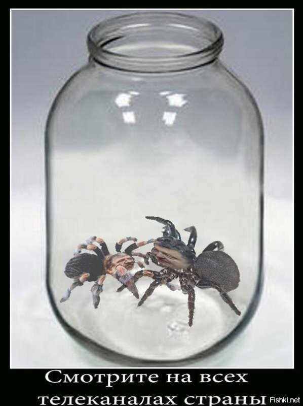 Трупная вонь и хаос. Наемники ВСУ взбесились и бросаются рвать командиров