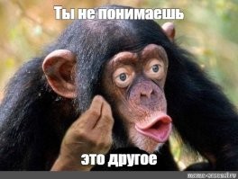 И это почему-то только для России.  А как подобное в других странах, так сразу классическое: "Вы не понимаете, это другое!"