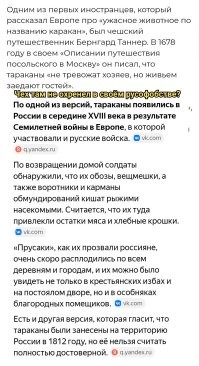 Петр первый против бороды