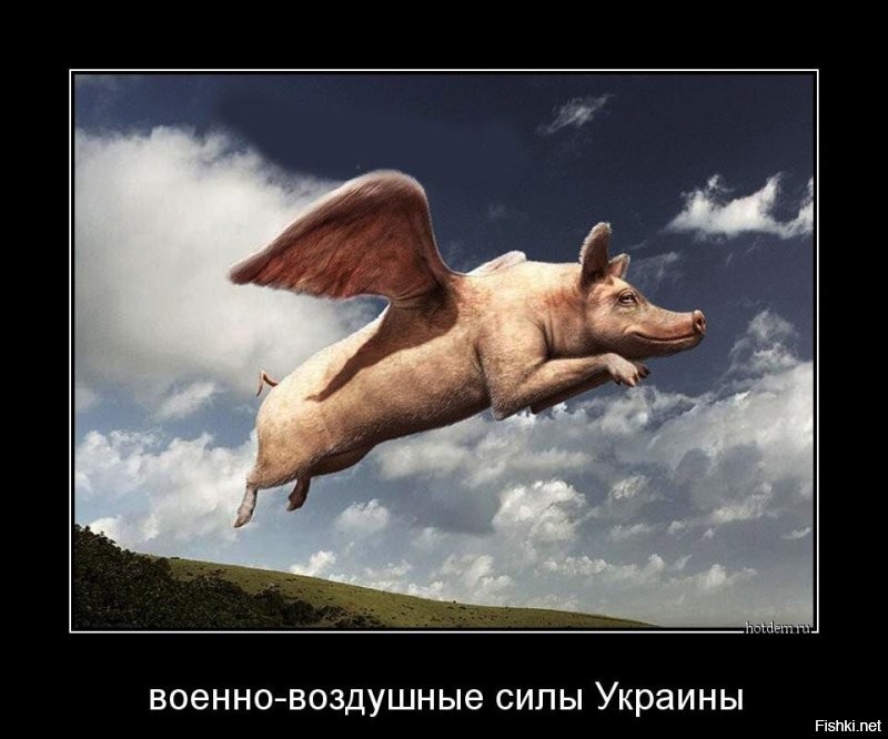 И взлетел гвынтокрыл, вообразив себя Икаром...  А москалям только бы нагадить: опалили крылышки хохлоИкару ракеткой Р-60...