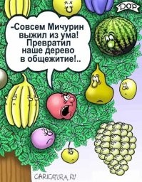 Как погиб Мичурин? 
Полез на яблоню за укропом, а сверху его арбузами завалило.