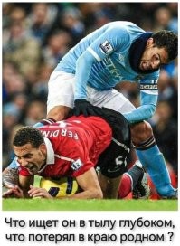 Смешные картинки