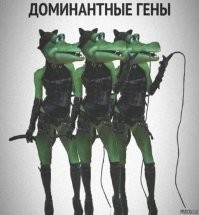 трансгенные)))