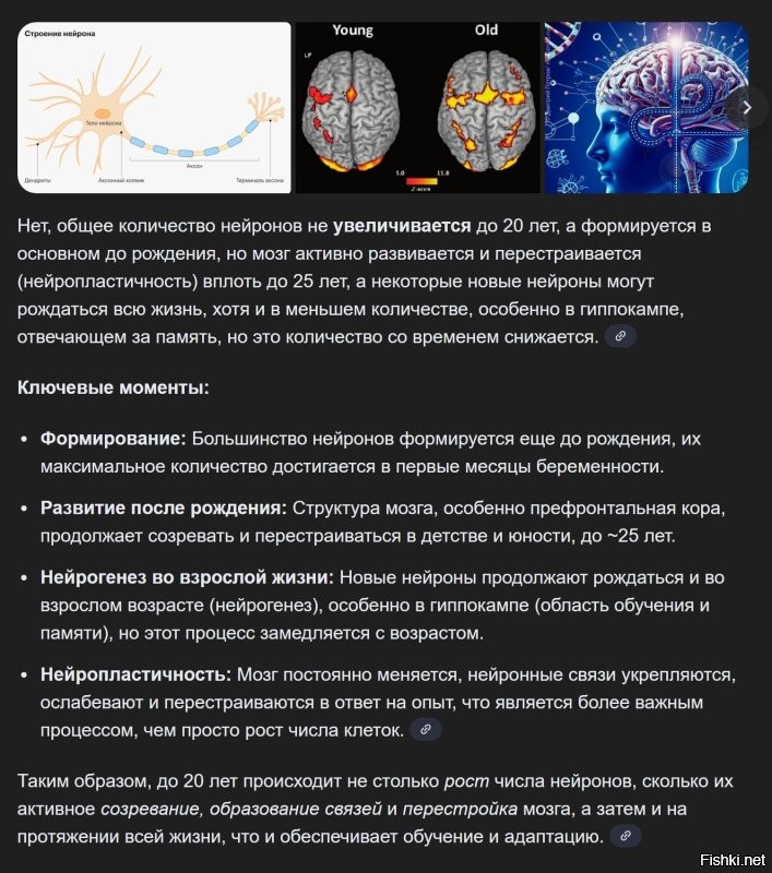 Я не знаю никаких серьезных нучных подтверждений вашему заявлению. Особенно тому что человек тупеет после 20.
Да, нейродегенеративные заболевания с возрастом проявляются почти у всех, но в достаточно пожилом возрасте.
Прикрепил ответ от ИИ, чтобы не оставлять кучу ссылок.