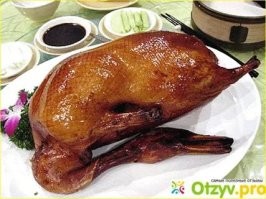 В Казахстане мужчина спас влюблённую пару лебедей от смерти в замёрзшем озере