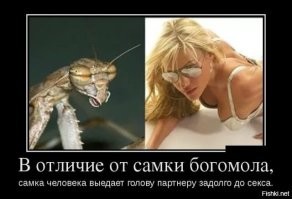 Картинки со&nbsp;смыслом