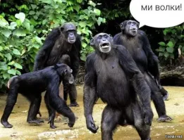 Преступление и наказание