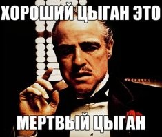 долбаные преступные паразиты!