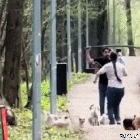 Самый адекватный ответ зоошизе