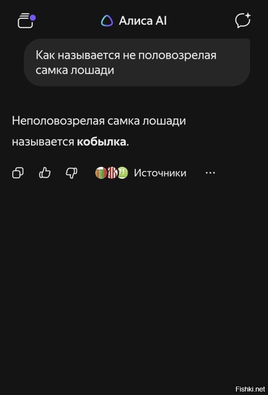 Солянка от 22.12.2025