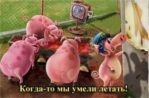 Фермер исполнил странное желание незнакомки
