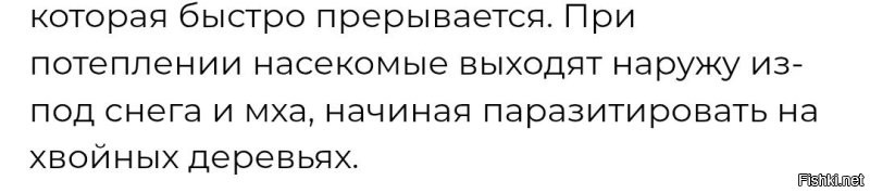 Интересно, а как клещи паразитируют на деревьях?