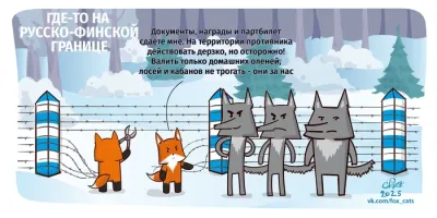 В Финляндии обвинили российских волков в переходе границы и охоте на северных оленей