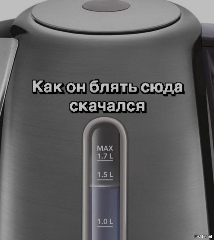 "Пока все не перейдут в MAX": в Госдуме озвучили планы по блокировке Telegram