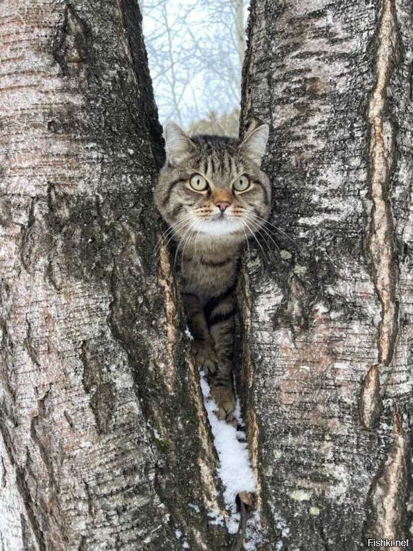 Доброе утро