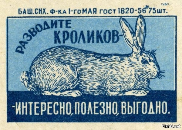 С кроликами внушительнее будет.