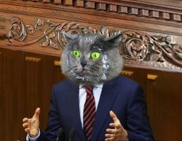 Таблетка помогла котёнку эволюционировать