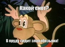 Может ли енот полюбить человека?