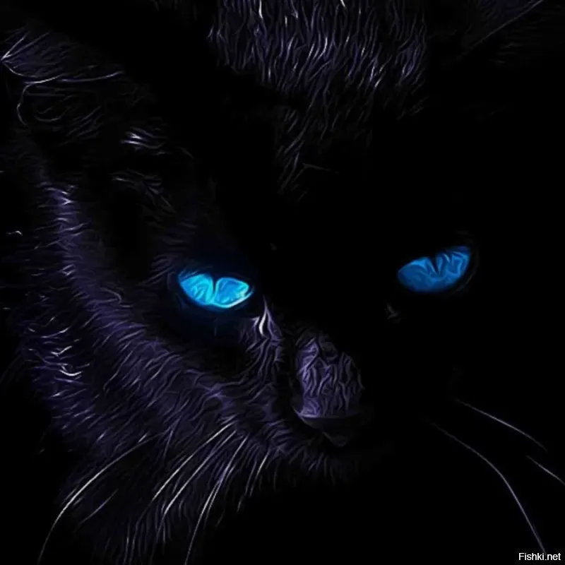 Солянка от 24.12.2025