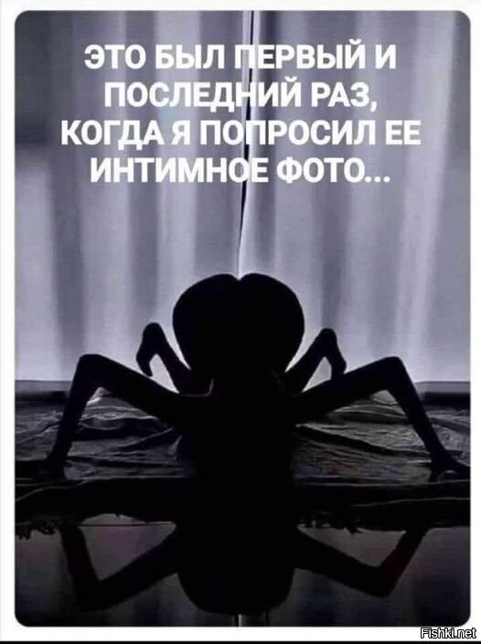 Большая тарелка улыбатора