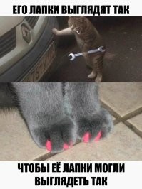 Смешные картинки