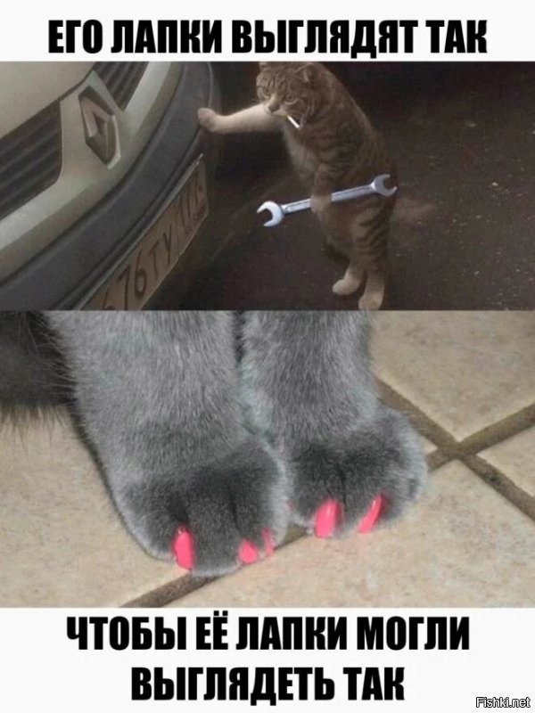 Смешные картинки