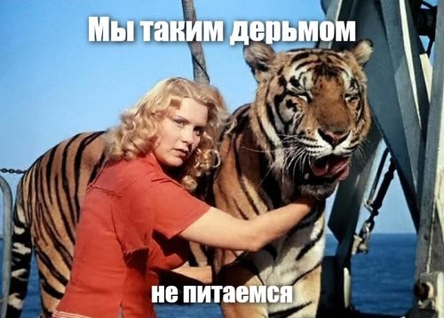 Посетитель зоопарка кидал в тигров снежками, стараясь их "расшевелить"