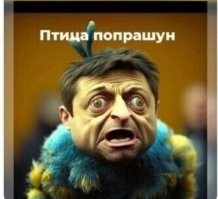 О политике и лишь о ней