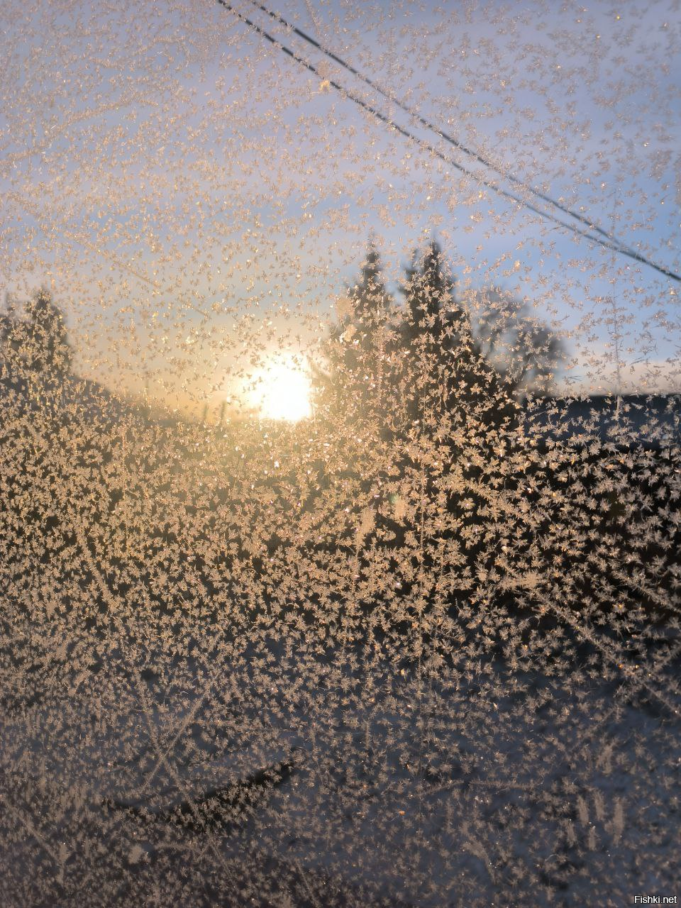 Да с чего бы это?
Вот, поликарбонат, вчера фото делал: